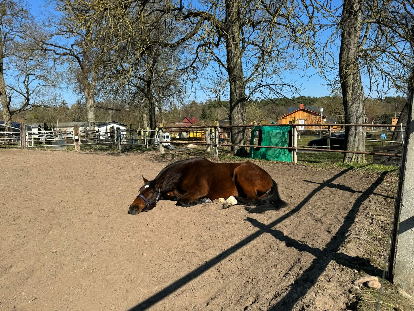 Stall in Schönow