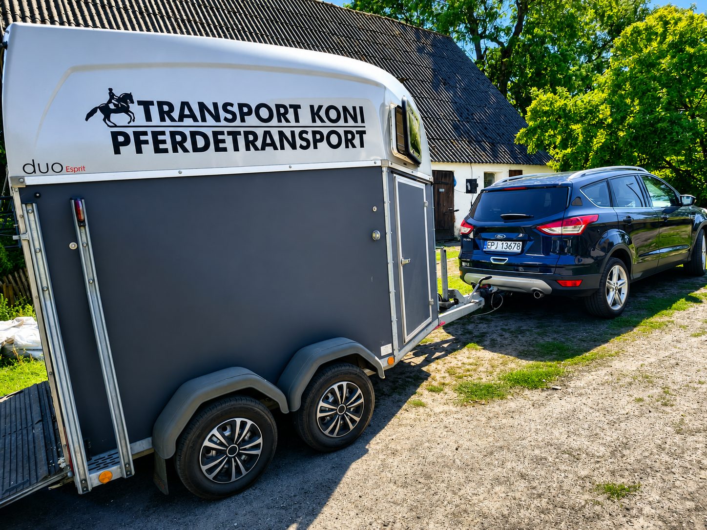 Pferdetransport