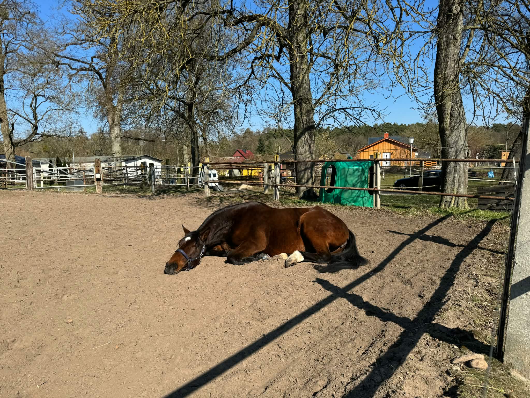 Stallgelände
